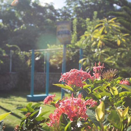 Hosteria Mar Y Sol San Andrés 외부 사진