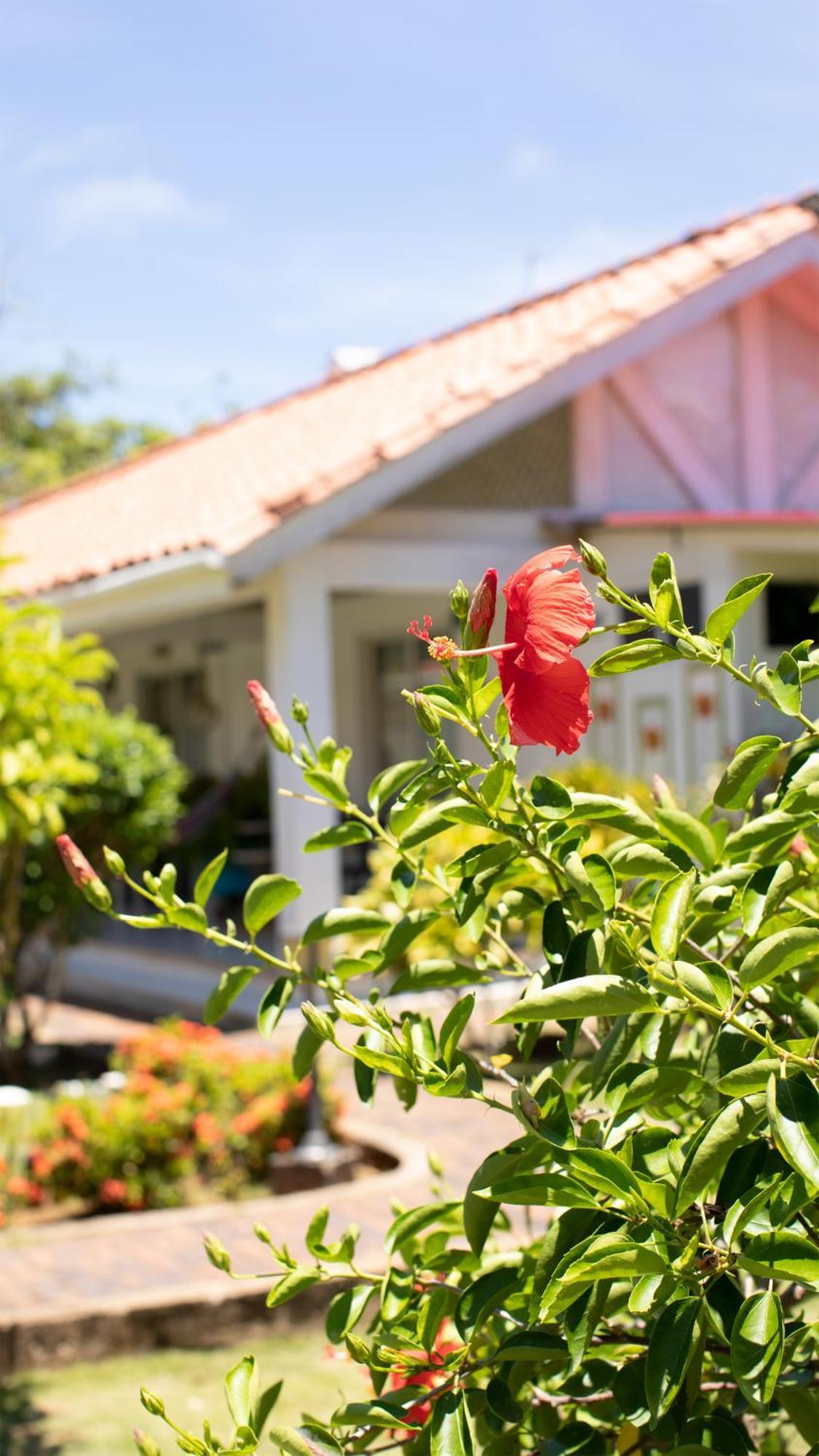 Hosteria Mar Y Sol San Andrés 외부 사진